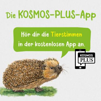 Kosmos Buch Kindersachbuch Kindernaturführer Tier- und Pflanzenführer 17243