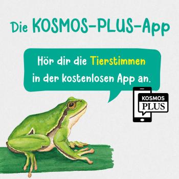 Kosmos Buch Kindersachbuch Kindernaturführer Was lebt im Wald? 17575