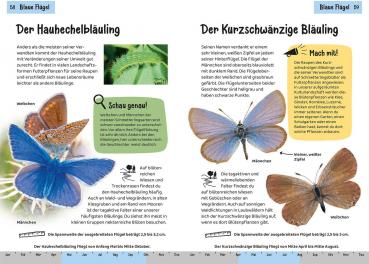 Kosmos Buch Kindersachbuch Kindernaturführer Welcher Schmetterling ist das? 17647