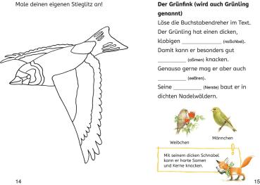 Kosmos Buch Lesen lernen Bücherhelden 2.Kl. Naturrätsel Heimische Vögel 17818