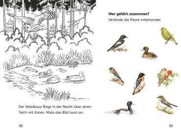 Kosmos Buch Lesen lernen Bücherhelden 2.Kl. Naturrätsel Heimische Vögel 17818