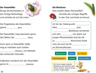 Kosmos Buch Lesen lernen Bücherhelden 2.Kl. Naturrätsel Insekten & Spinnen 17819