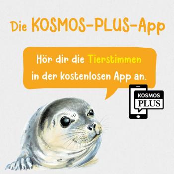 Kosmos Buch Kindersachbuch Kindernaturführer Was lebt an Strand & Küste? 17922