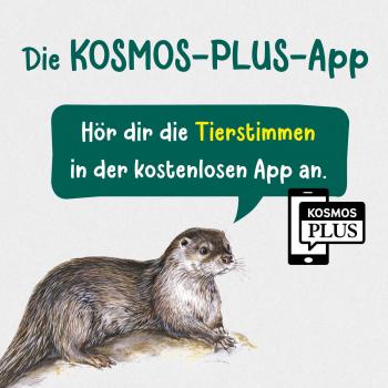 Kosmos Buch Kindersachbuch Kindernaturführer Was lebt an Bach und Teich? 18211