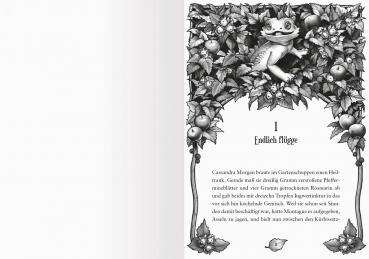 Ravensburger Buch Erzählendes Kinderbuch Cassandra Morgan Band 2 Die magische Flöte 40933