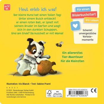 Ravensburger Buch Pappbilderbuch Vorlesen Hallo, hier bin ich! ruft der kleine Hund 42063