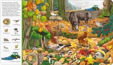 Ravensburger Pappbilderbuch Mein großes Sachen suchen Bei uns im Wald 43843