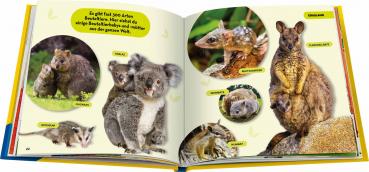 Preview: Ravensburger Buch National Geographic Kids Die tollsten Tierbabys aus aller Welt 48115