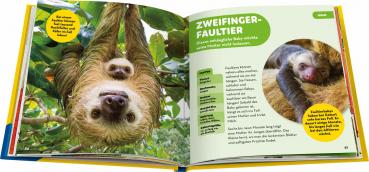 Preview: Ravensburger Buch National Geographic Kids Die tollsten Tierbabys aus aller Welt 48115