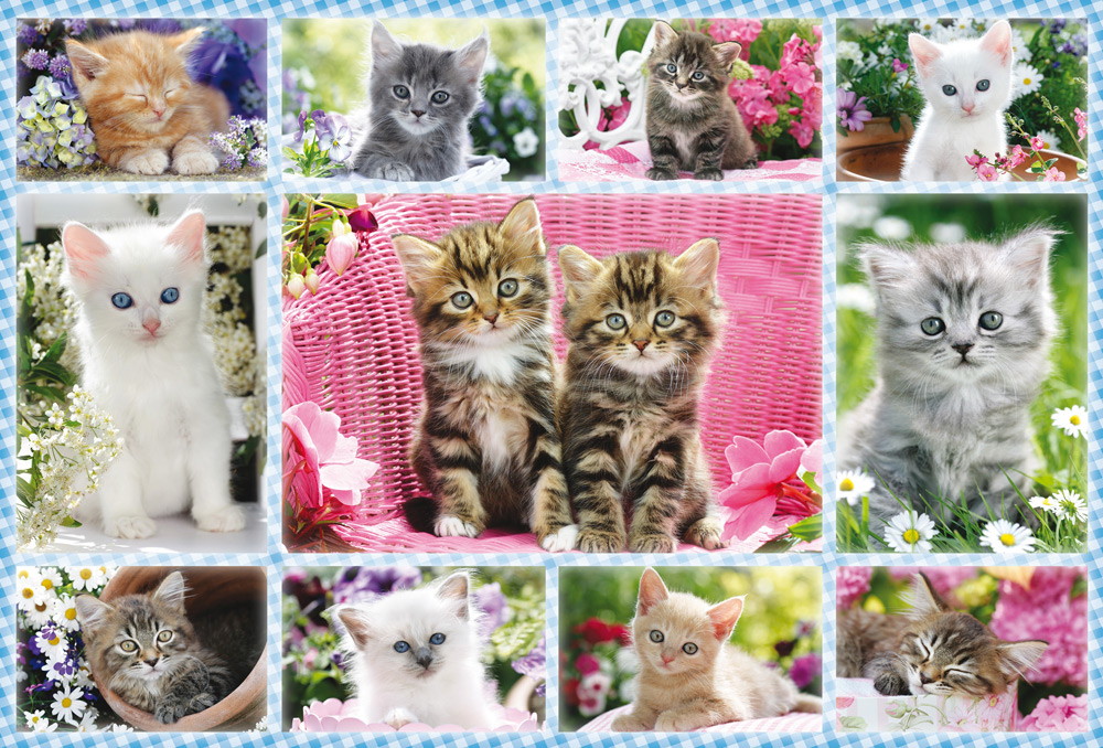 100 Teile Schmidt Spiele Kinder Puzzle Katzenbabys 56135 