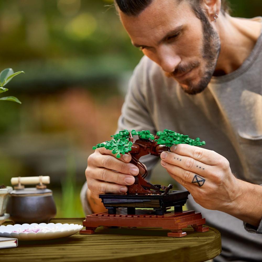 LEGO® Botanicals Bonsai Baum 878 Teile 10281