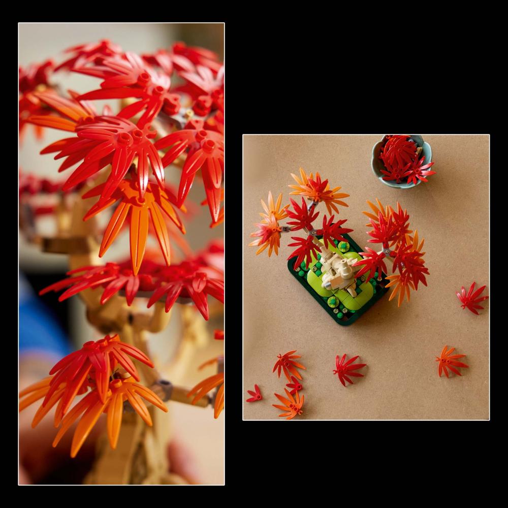 LEGO® Botanicals Japanischer Roter Ahorn - Bonsai-Baum 474 Teile 10348