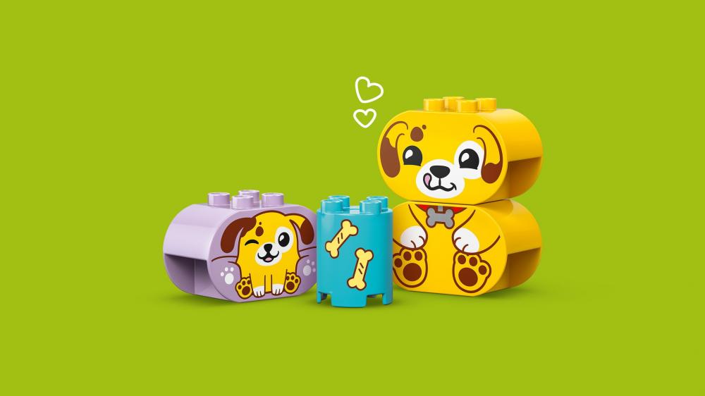 LEGO® DUPLO® Formsortierer: Welpenhaus 17 Teile 10441