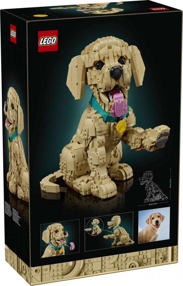 LEGO® Icons Golden Retriever Welpe 2102 Teile 11384