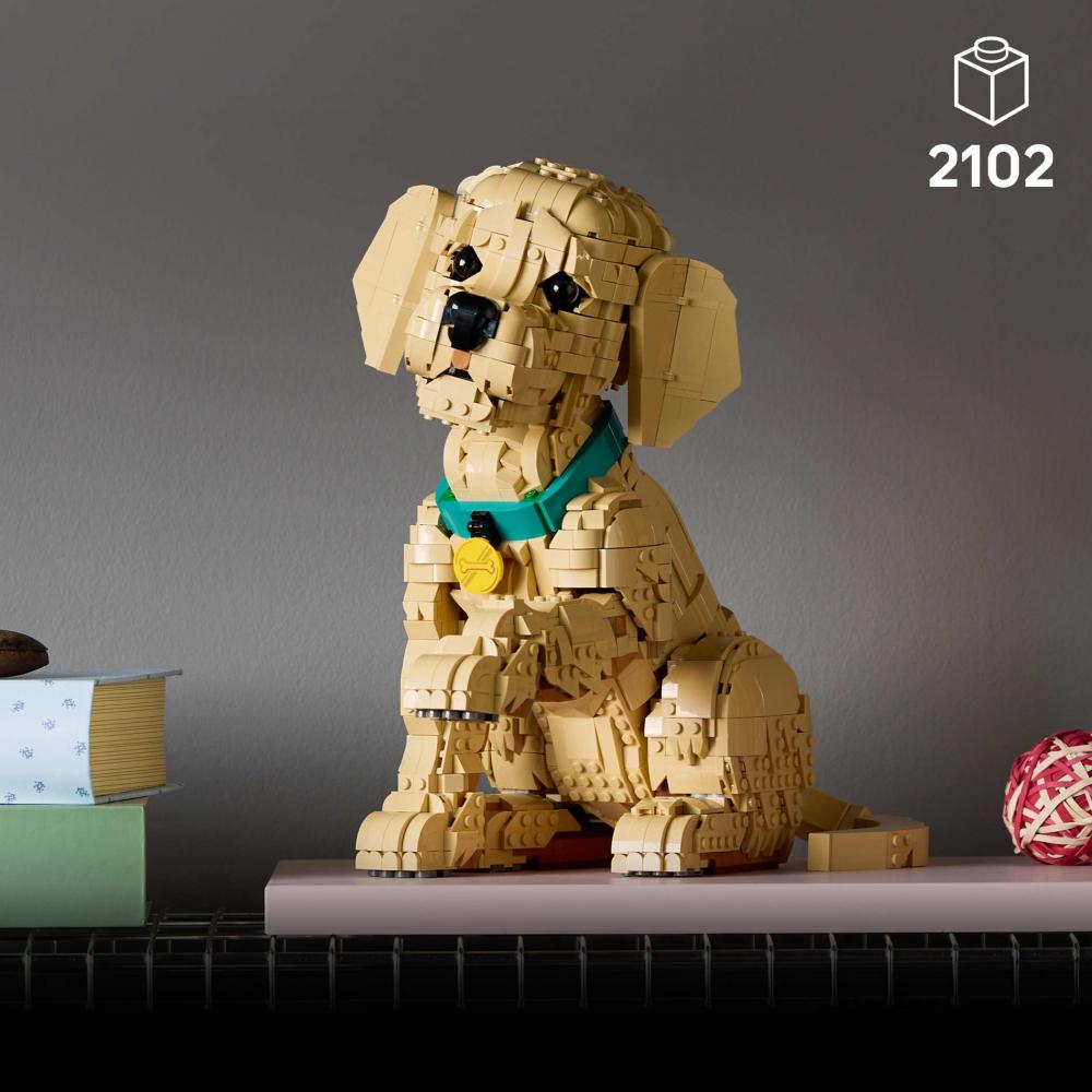 LEGO® Icons Golden Retriever Welpe 2102 Teile 11384