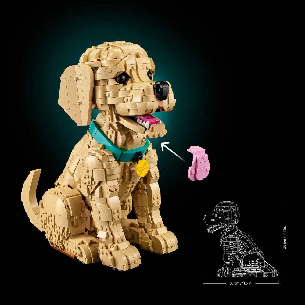 LEGO® Icons Golden Retriever Welpe 2102 Teile 11384