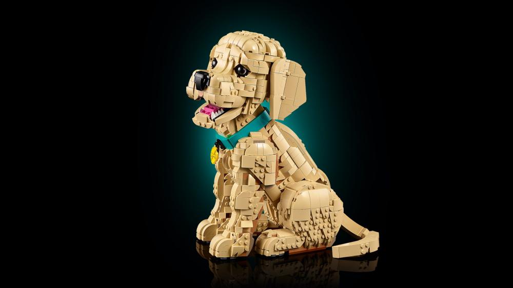 LEGO® Icons Golden Retriever Welpe 2102 Teile 11384