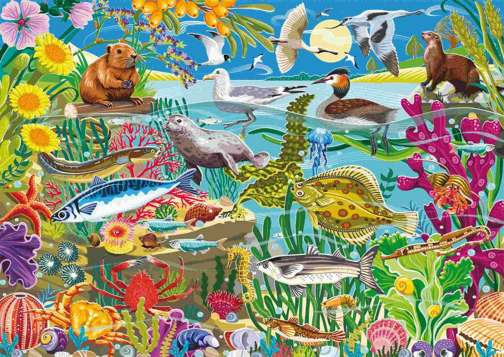 1000 Teile Schmidt Spiele Puzzle Küstenwelt 58063