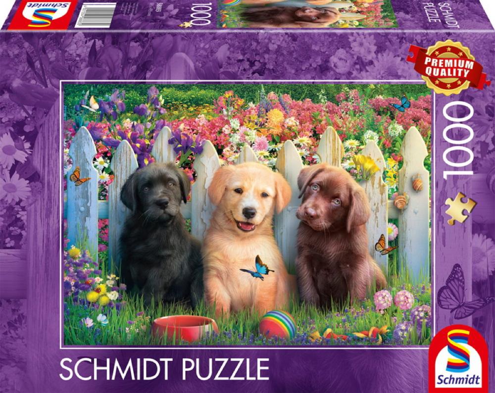 Artikelbild