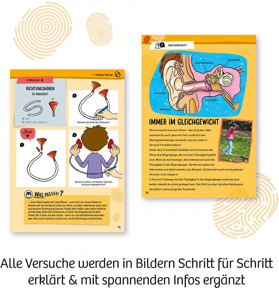 Kosmos Erstes Lernen Mein erster Experimentierkasten Körper & Sinne 602307