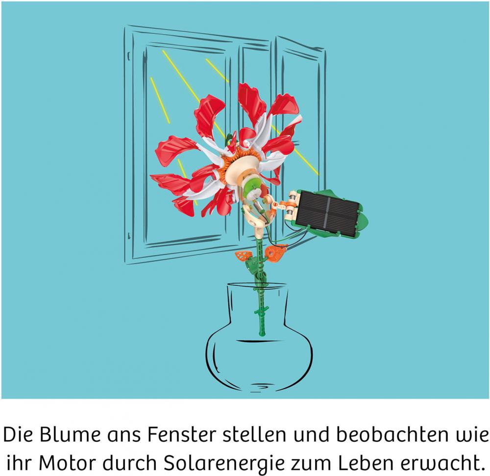 Kosmos Experimentieren Physik Solar-Flower 621476