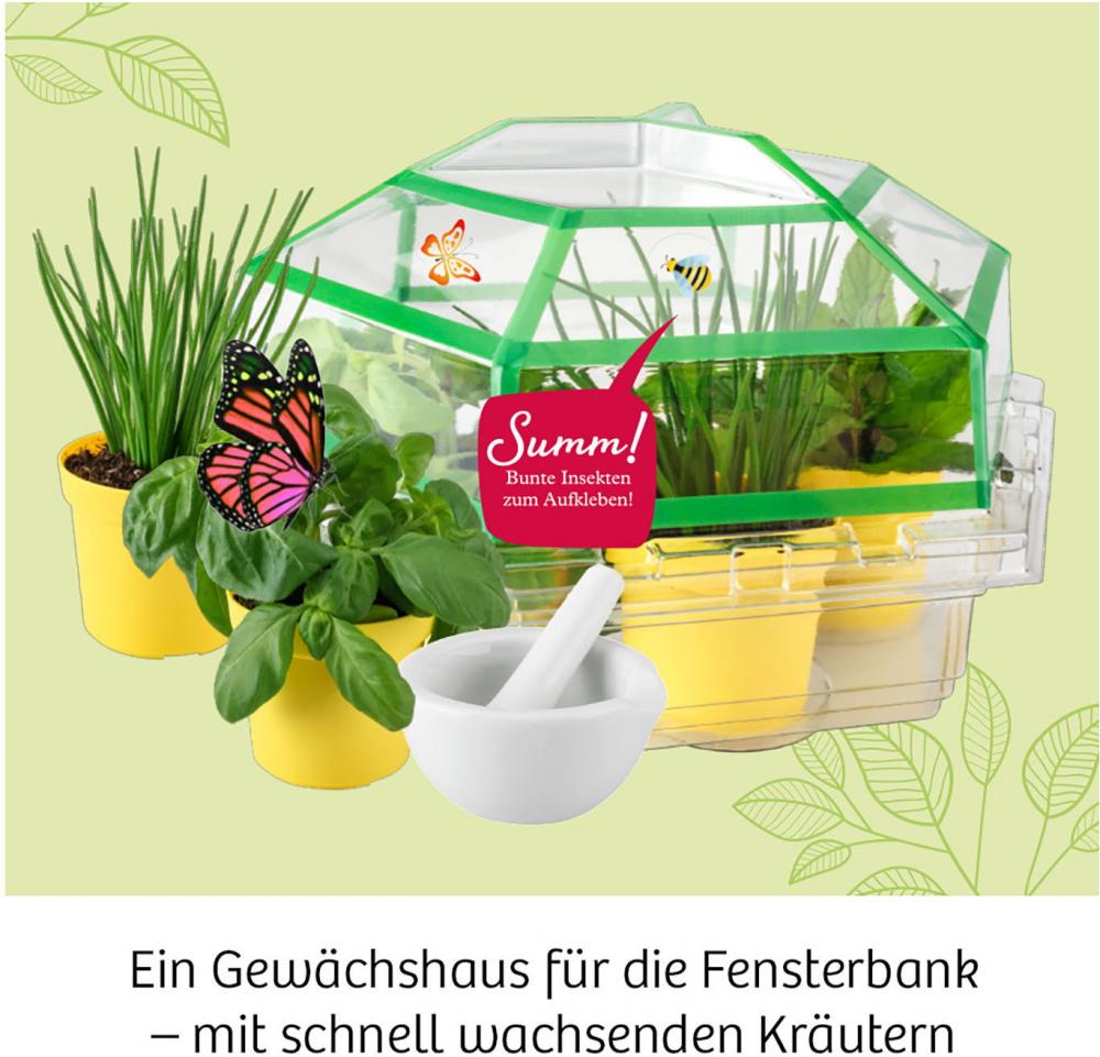 Kosmos Experimentieren Natur Kräutergarten 632090