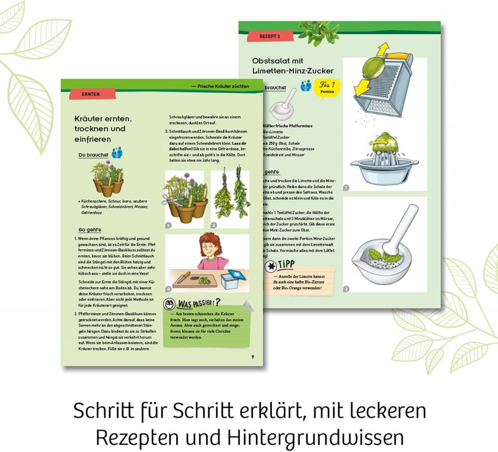 Kosmos Experimentieren Natur Kräutergarten 632090