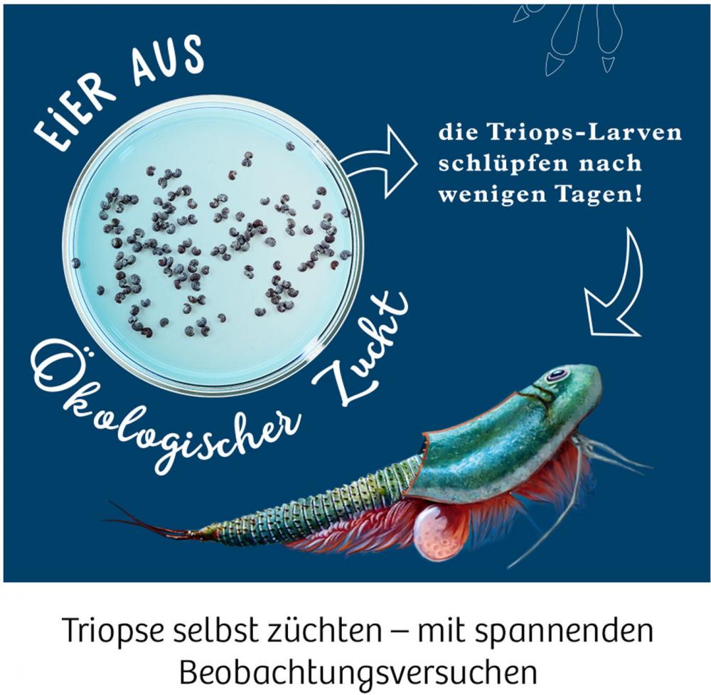 Kosmos Experimentieren Urzeitkrebse Triops-Welt 633073