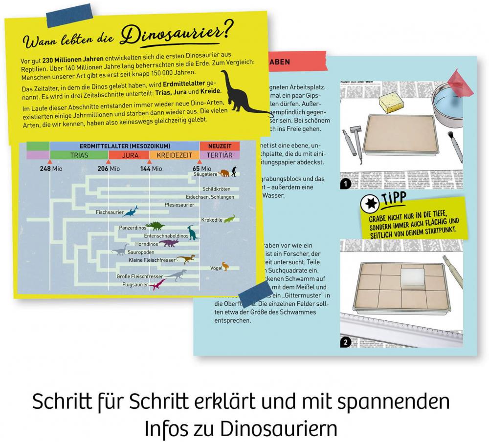 Kosmos Experimentieren Ausgrabung Nachtleuchtender Flugsaurier 636166