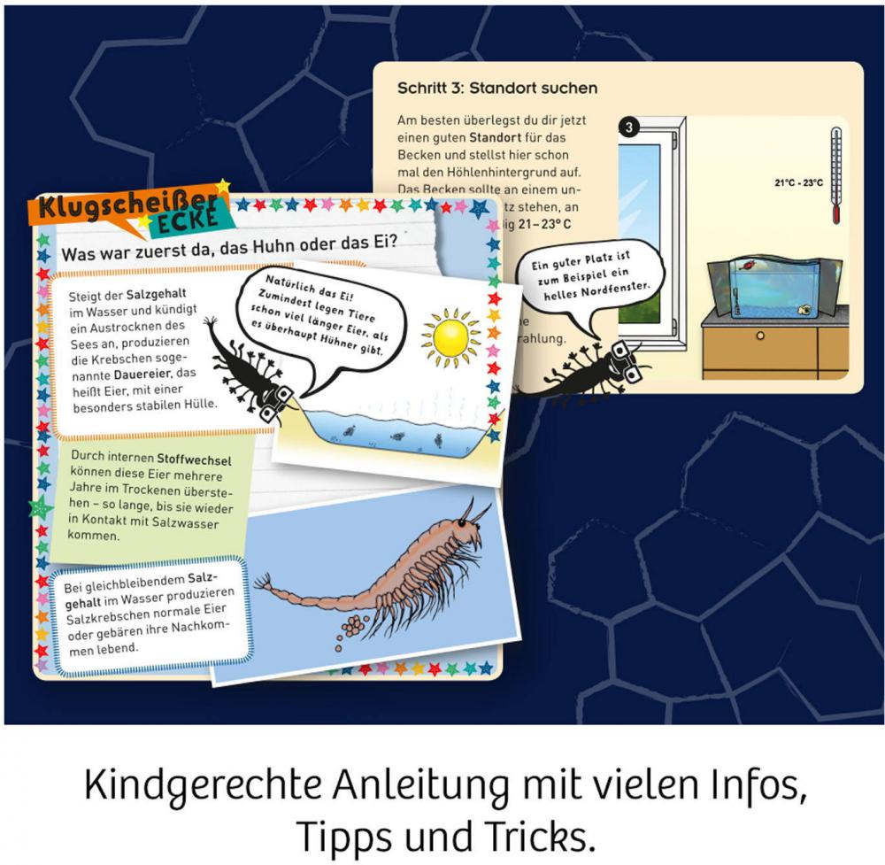 Kosmos Experimentieren Fun Science Wuselnde Salzkrebse 654160