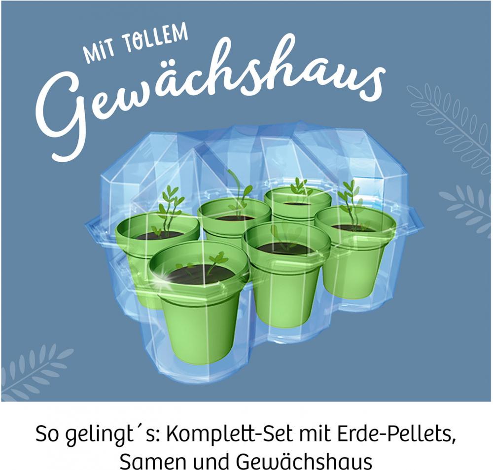 Kosmos Experimentieren Natur Mimosen-Garten 657802