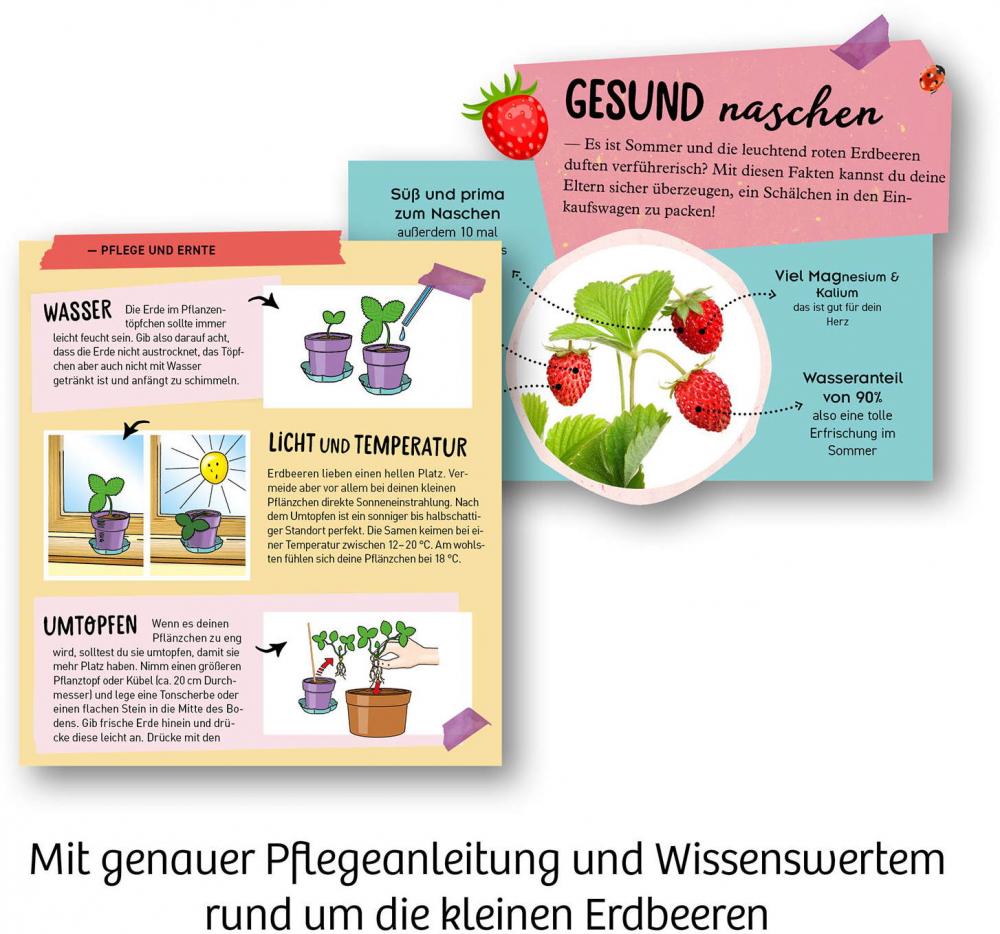 Kosmos Experimentieren Girls Feen-Erdbeeren 657819