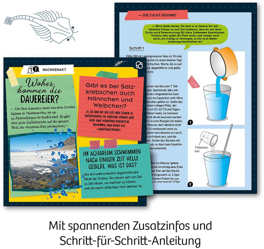 Kosmos Experimentieren Urzeitkrebse Urzeit-Krebse 657871