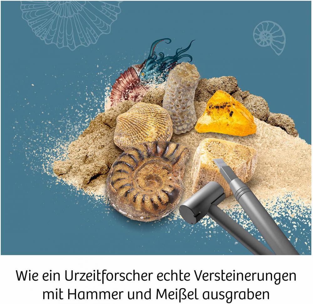 Kosmos Experimentieren Ausgrabung Fossilien 657918