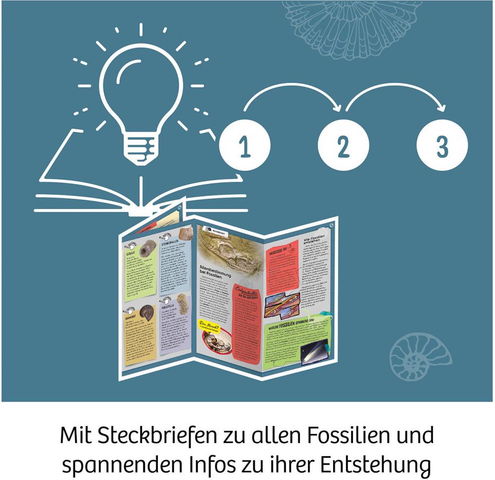 Kosmos Experimentieren Ausgrabung Fossilien 657918