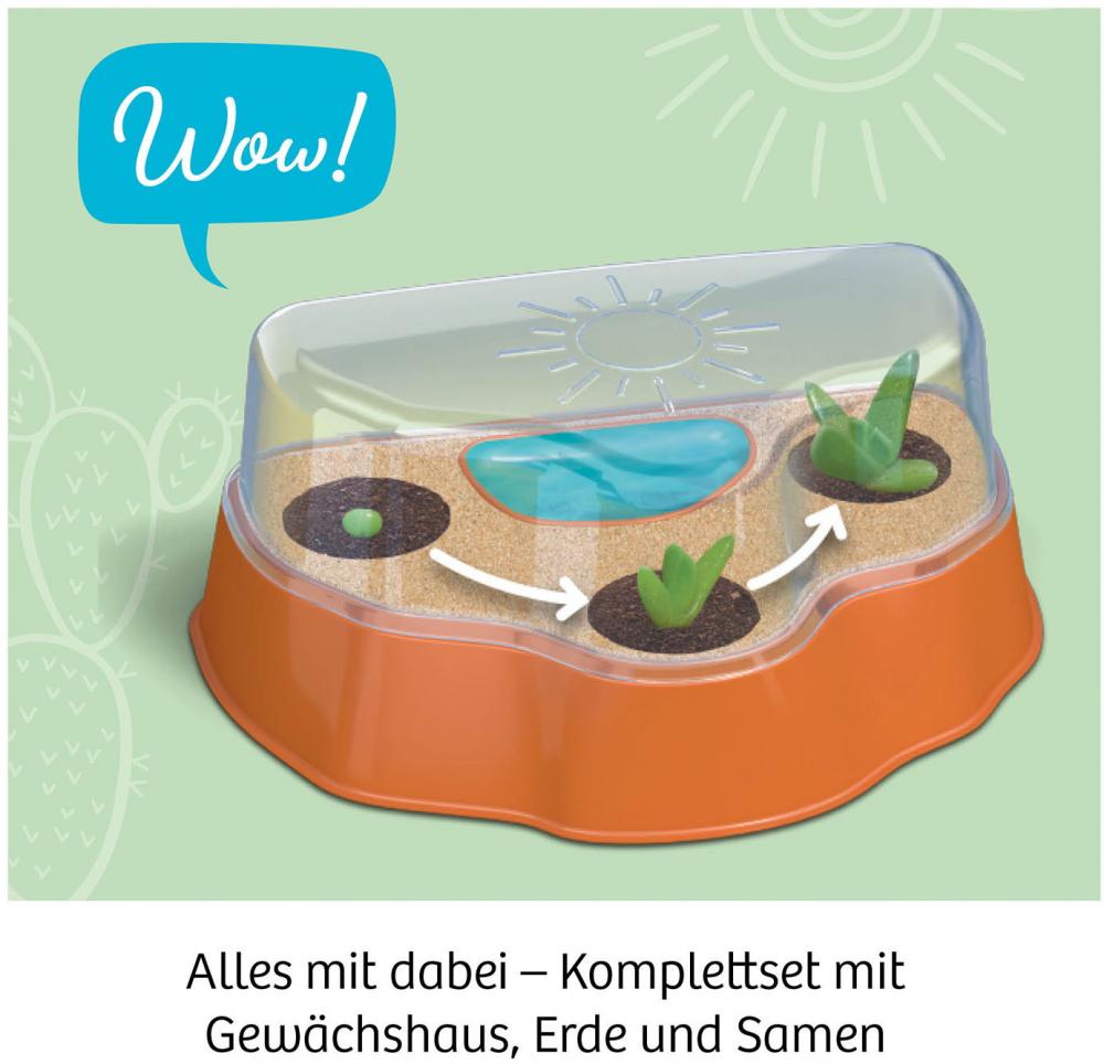 Kosmos Experimentieren Natur Kakteen-Wüste 658250