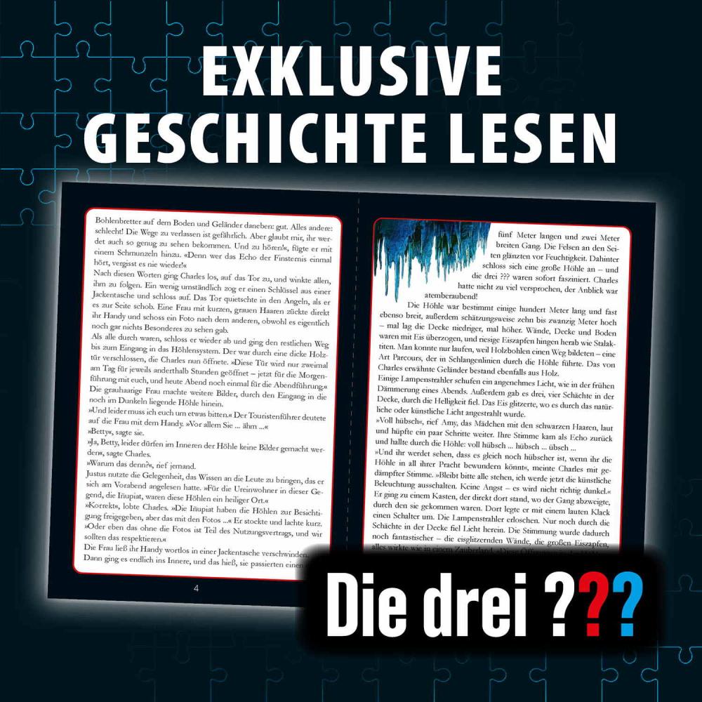300 Teile Kosmos Familienspiel Krimispiel Krimipuzzle Die drei ??? Echo der Finsternis 684464