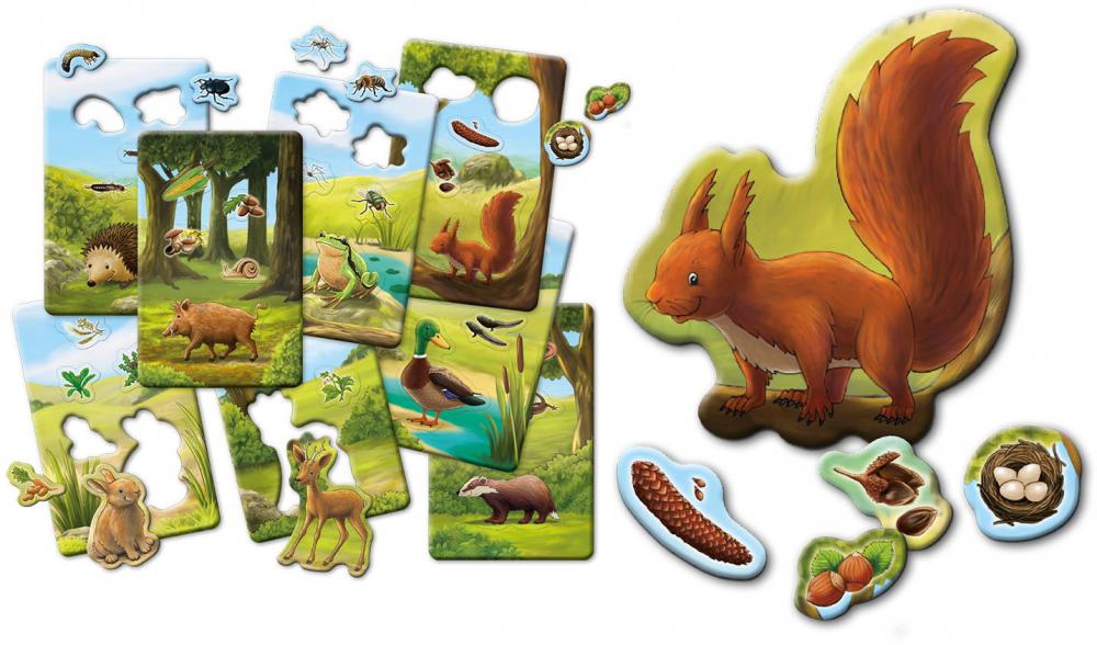 Kosmos Mitbringspiel Wissensspiel Fressen Igel Schokoriegel? 711061
