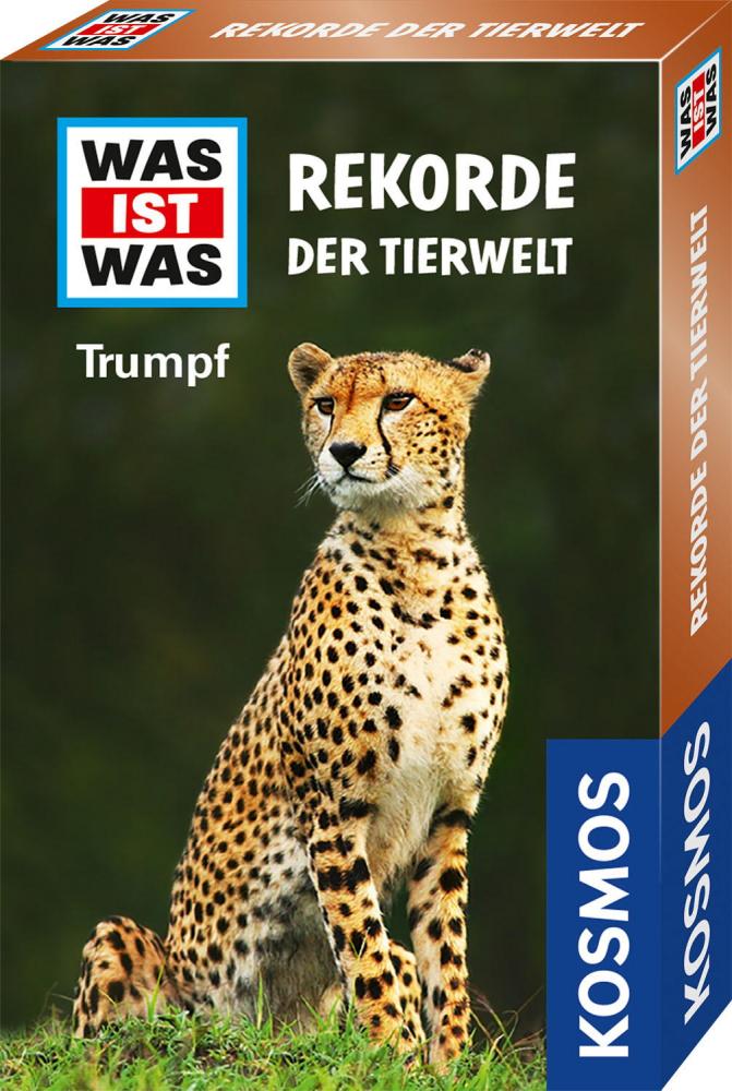 Artikelbild