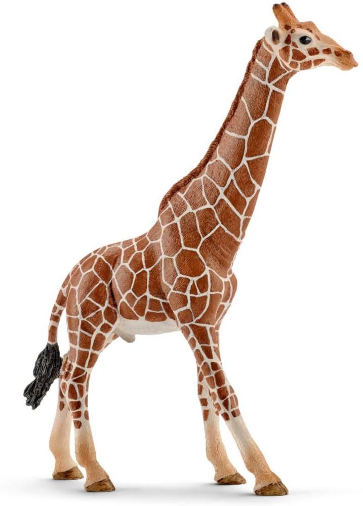 Artikelbild