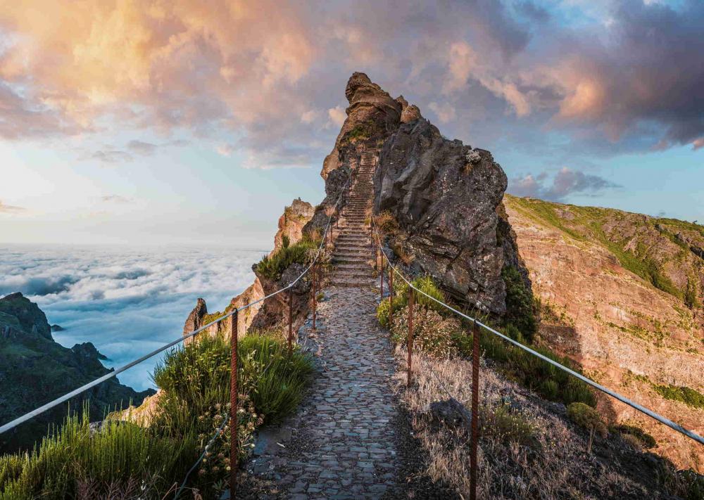 1000 Teile Ravensburger Puzzle Himmlischer Bergpfad 12001765