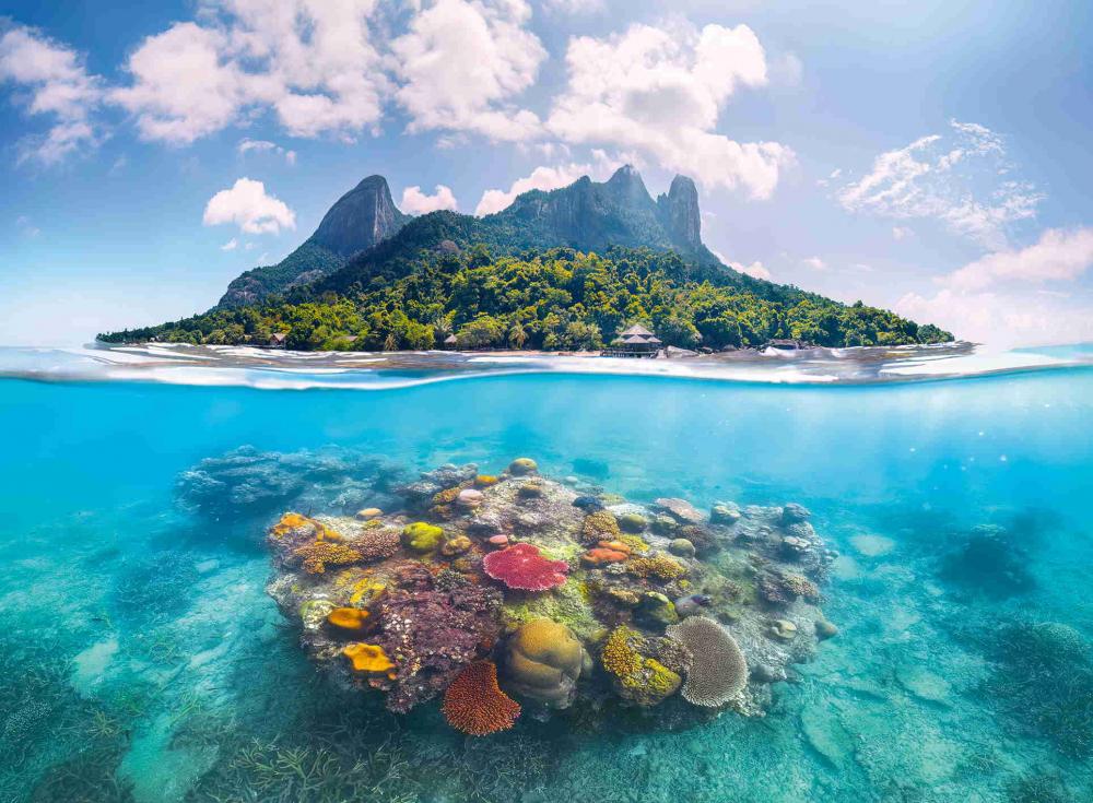 500 Teile Ravensburger Puzzle Insel und Korallenwelt 12001798