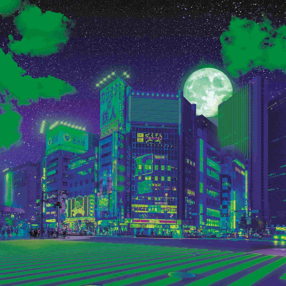 500 Teile Ravensburger Puzzle Quadratisch Tokio 12001980