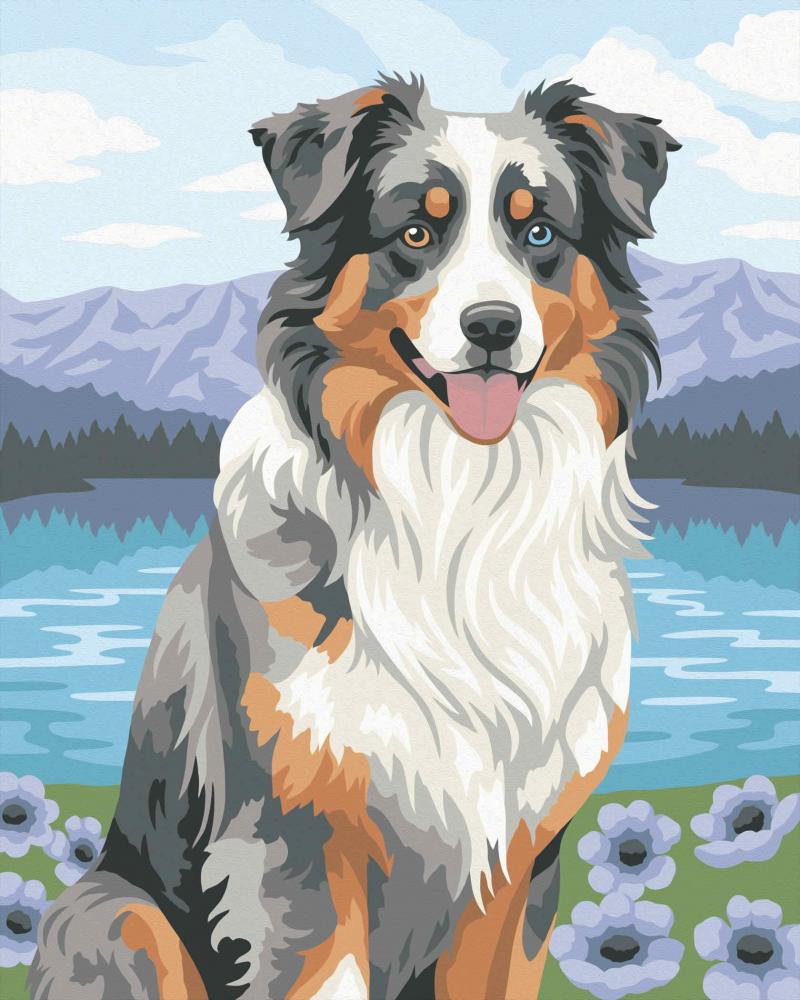 Ravensburger Malen nach Zahlen CREART Trend Serie C Australian Shepherd Merlin 12023114