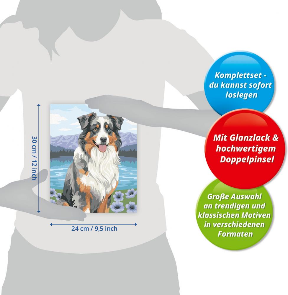 Ravensburger Malen nach Zahlen CREART Trend Serie C Australian Shepherd Merlin 12023114