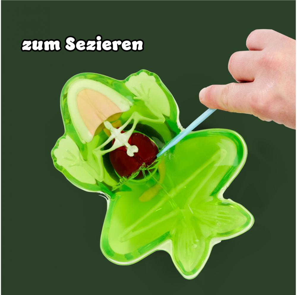 Simba Outdoor Forschen und Entdecken Scout Dissect-It Frosch Schleim-Sezierset 109452703