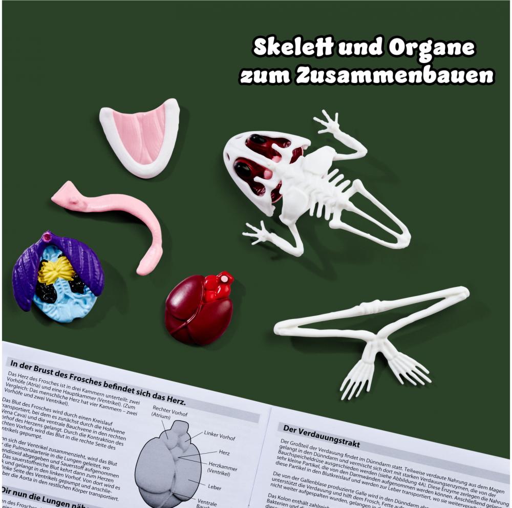 Simba Outdoor Forschen und Entdecken Scout Dissect-It Frosch Schleim-Sezierset 109452703