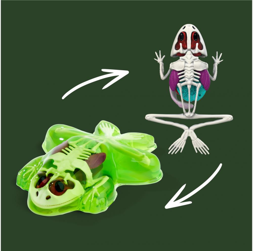 Simba Outdoor Forschen und Entdecken Scout Dissect-It Frosch Schleim-Sezierset 109452703