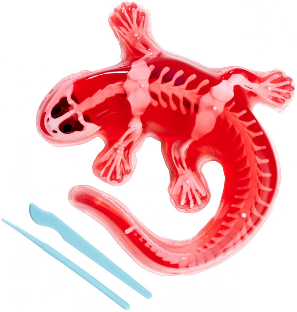 Simba Outdoor Forschen und Entdecken Scout Dissect-It Salamander Schleim-Sezierset 109452704