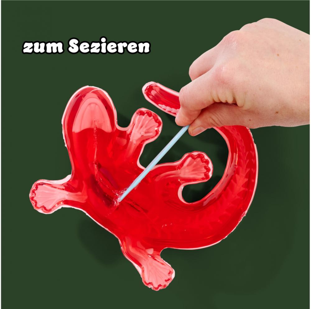 Simba Outdoor Forschen und Entdecken Scout Dissect-It Salamander Schleim-Sezierset 109452704